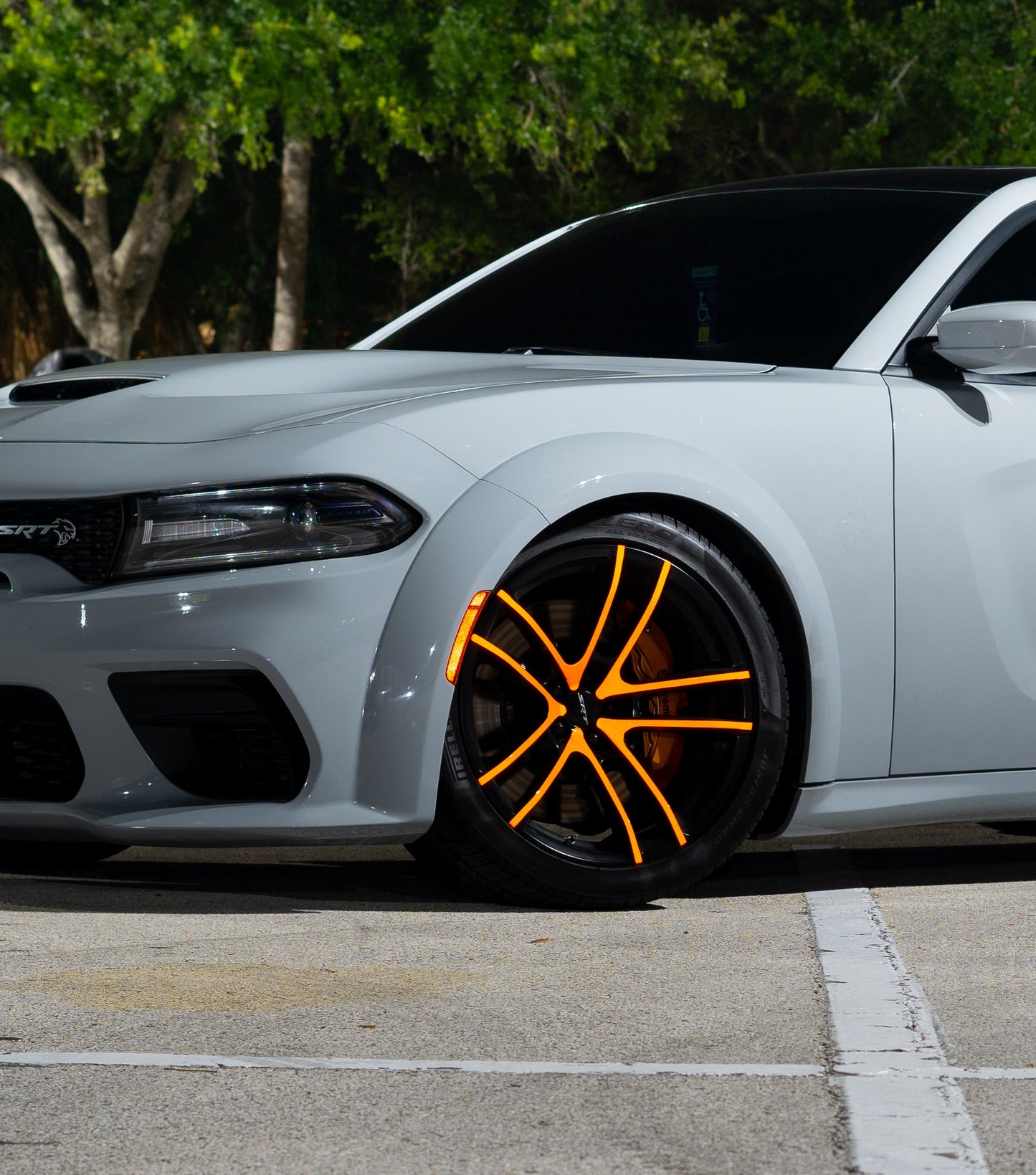 Florasan Neon (Karanlıkta Parlayan) Kendinden Yapışkanlı Kaplama Folyosu